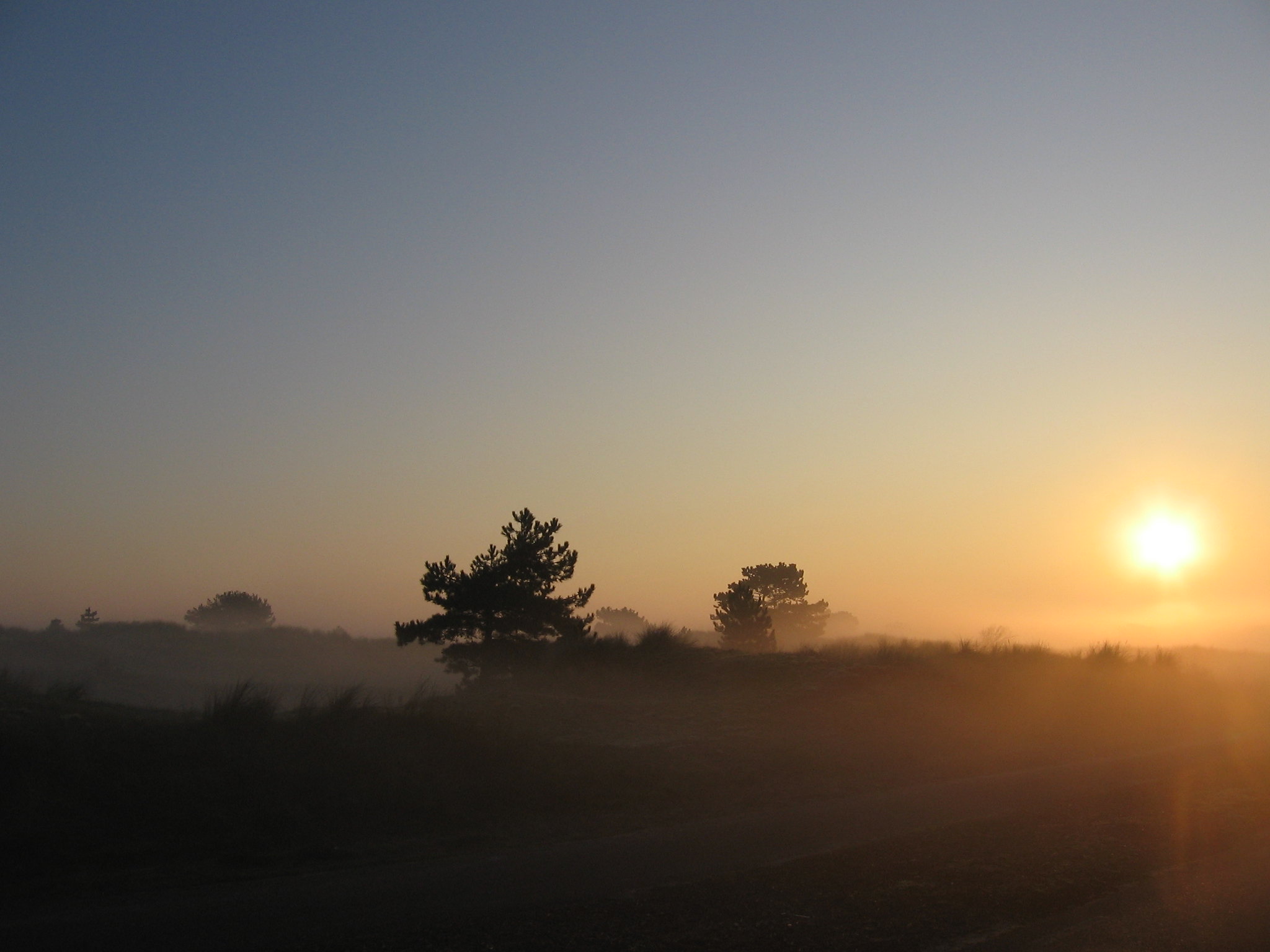 Om de hoek van de kust, de duinen en het bos