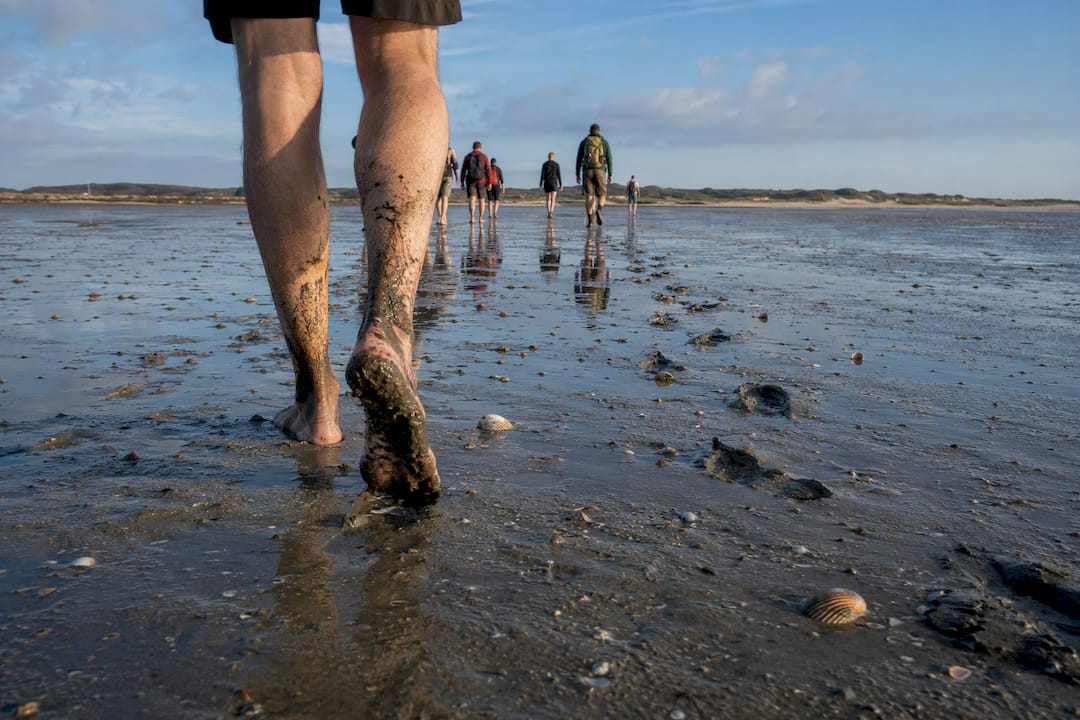 Modderige wadplaten bij Holwerd voor de wadlooproute
